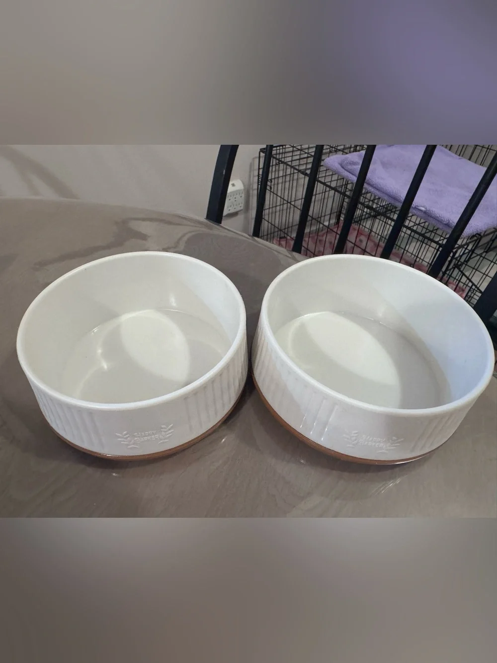 White Ceramic Dog Bowl Duo with Tan Base - Stylish Pet Feeding Set